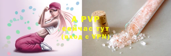 стаф Белоозёрский
