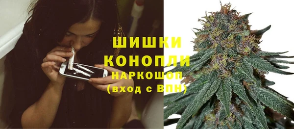 стаф Белоозёрский