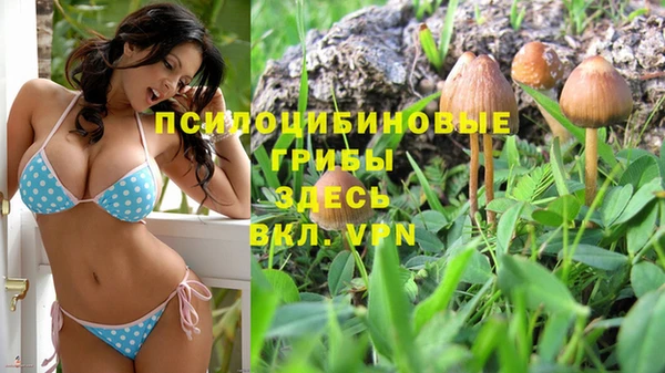 не бодяженный Белокуриха